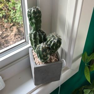 Faux Cactus
